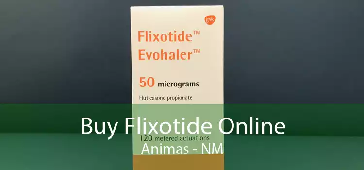 Buy Flixotide Online Animas - NM
