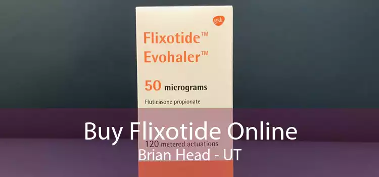 Buy Flixotide Online Brian Head - UT