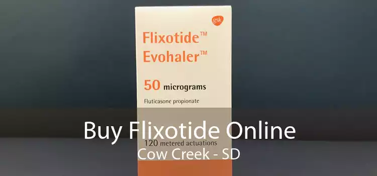 Buy Flixotide Online Cow Creek - SD