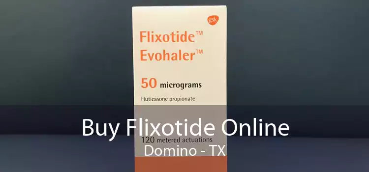 Buy Flixotide Online Domino - TX